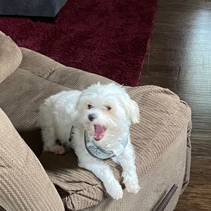 Meet your Posher, Beverly